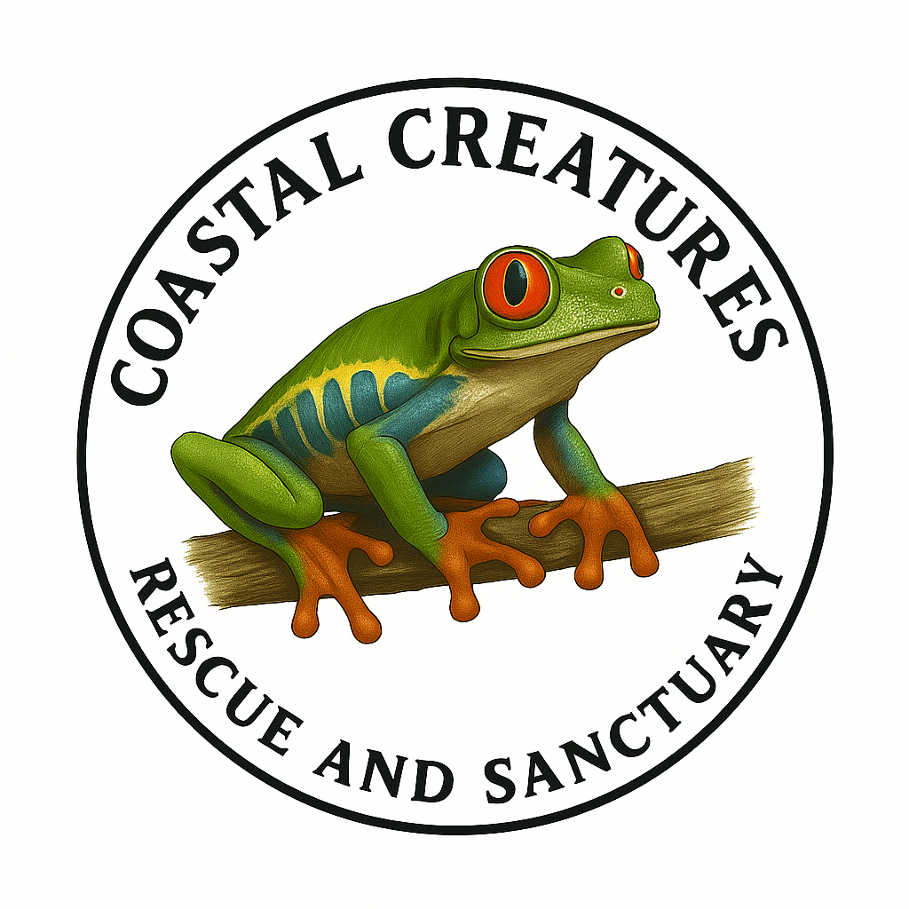 Coastal Creatures Rescue & Sanctuary