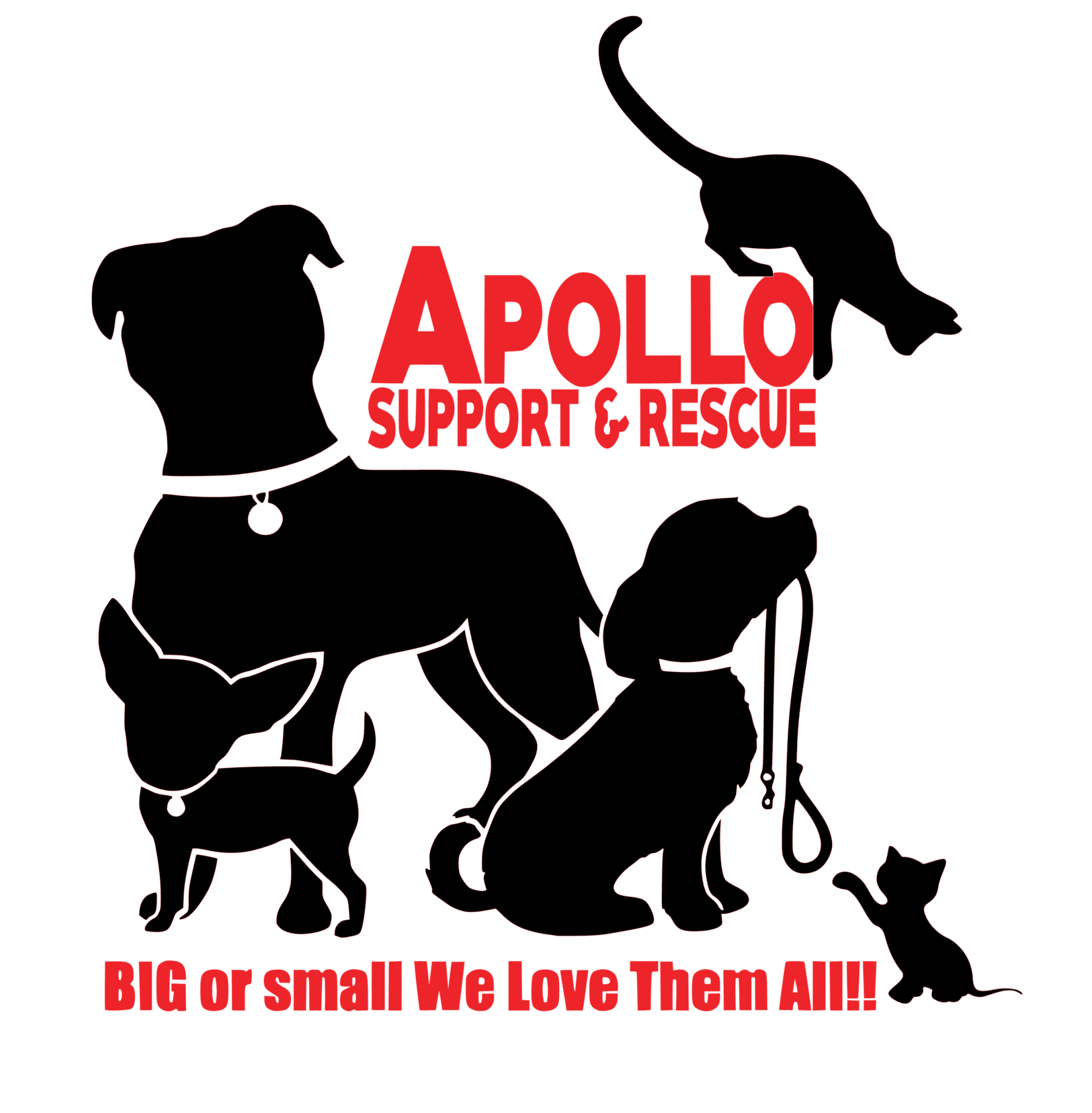 Apollo Support & Rescue Inc