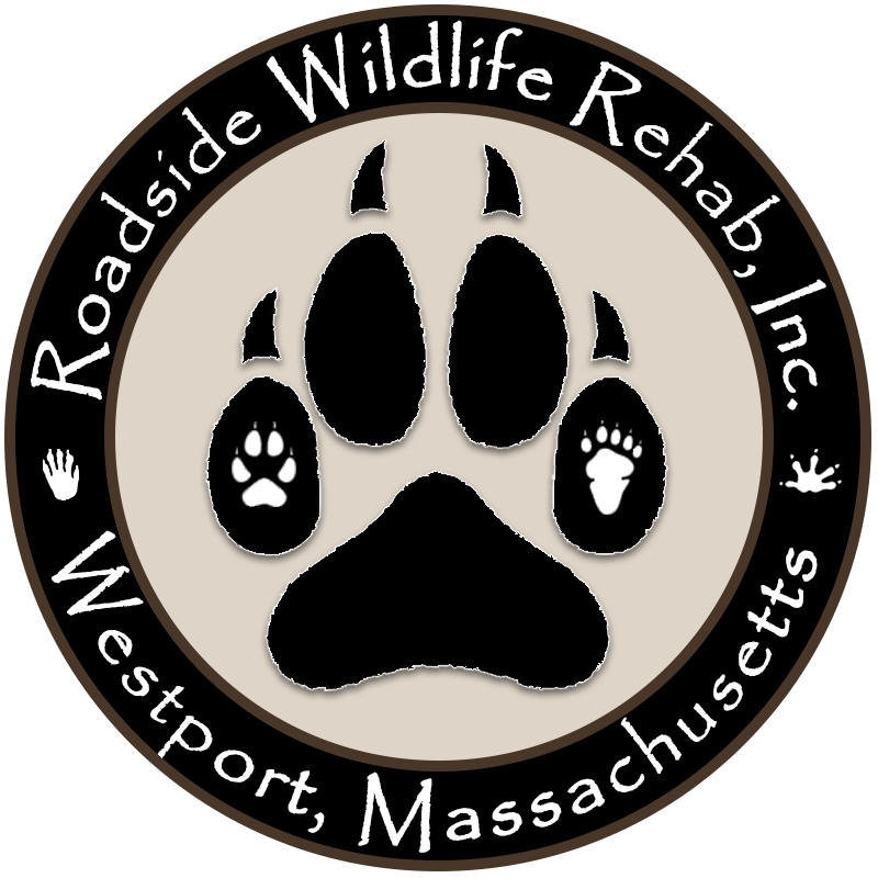 Roadside Wildlife Rehab Inc