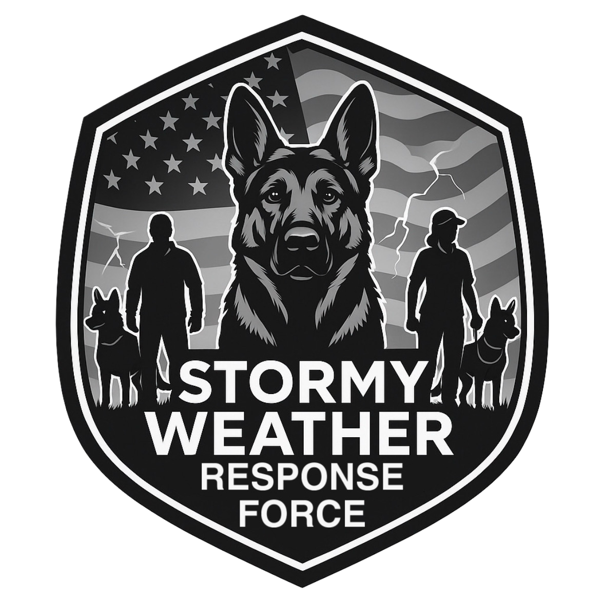 Stormy Weather Response Force