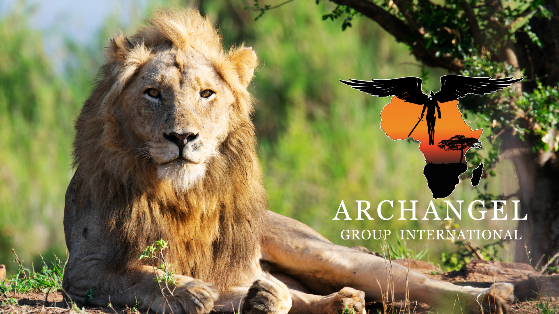 Archangel Group International A Non-Profit Corporation