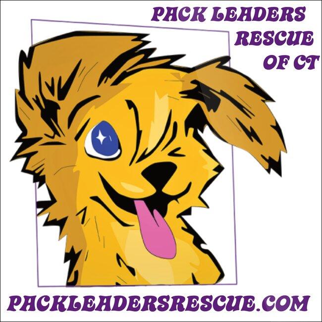 Pack Leaders Rescue of CT Inc