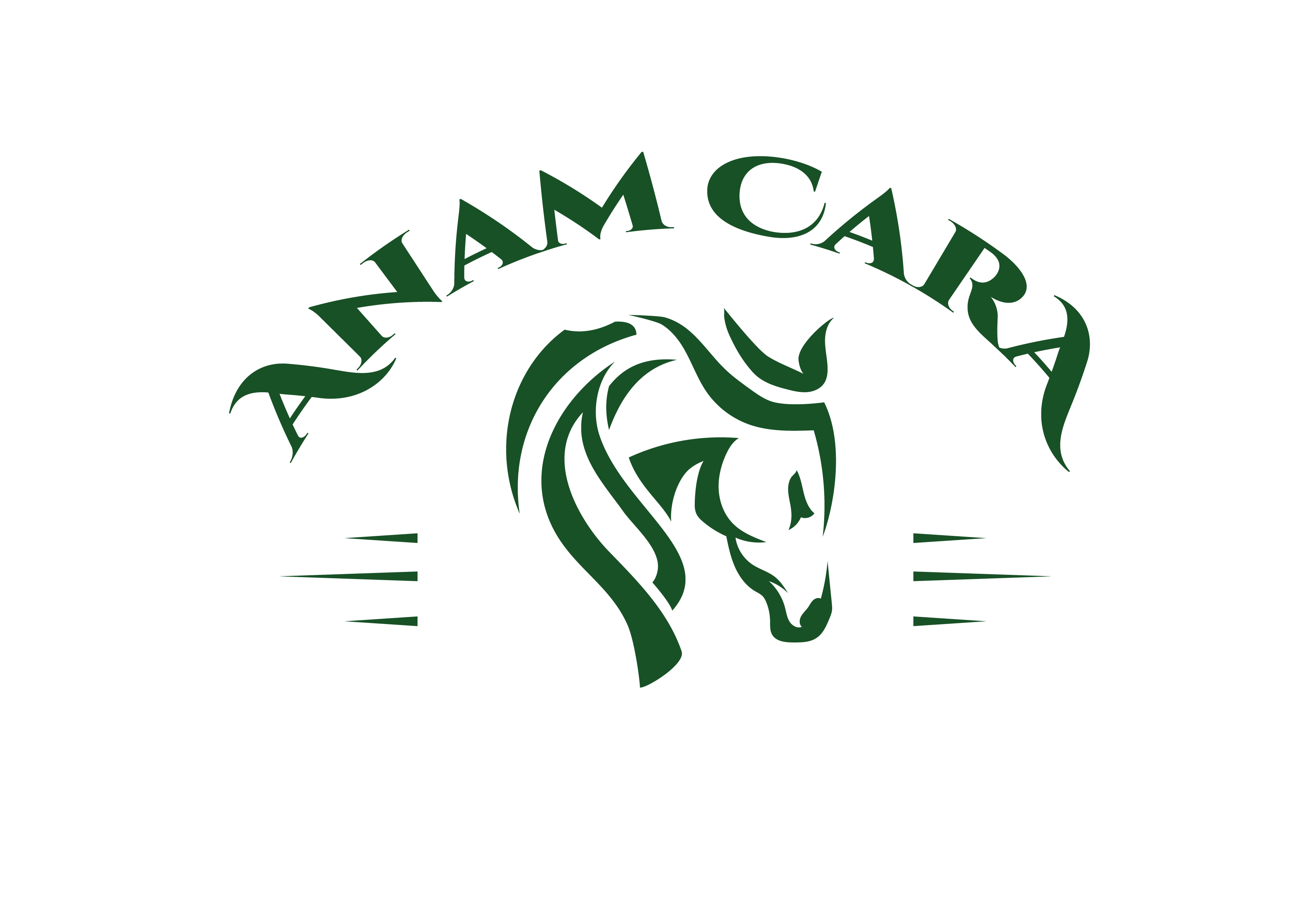 Anam Cara Counseling