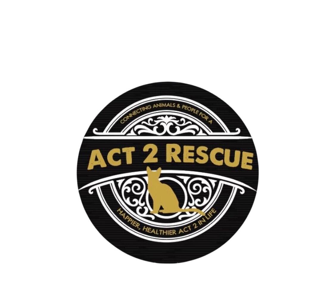 Act 2 Rescue