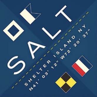 Team SALT logo