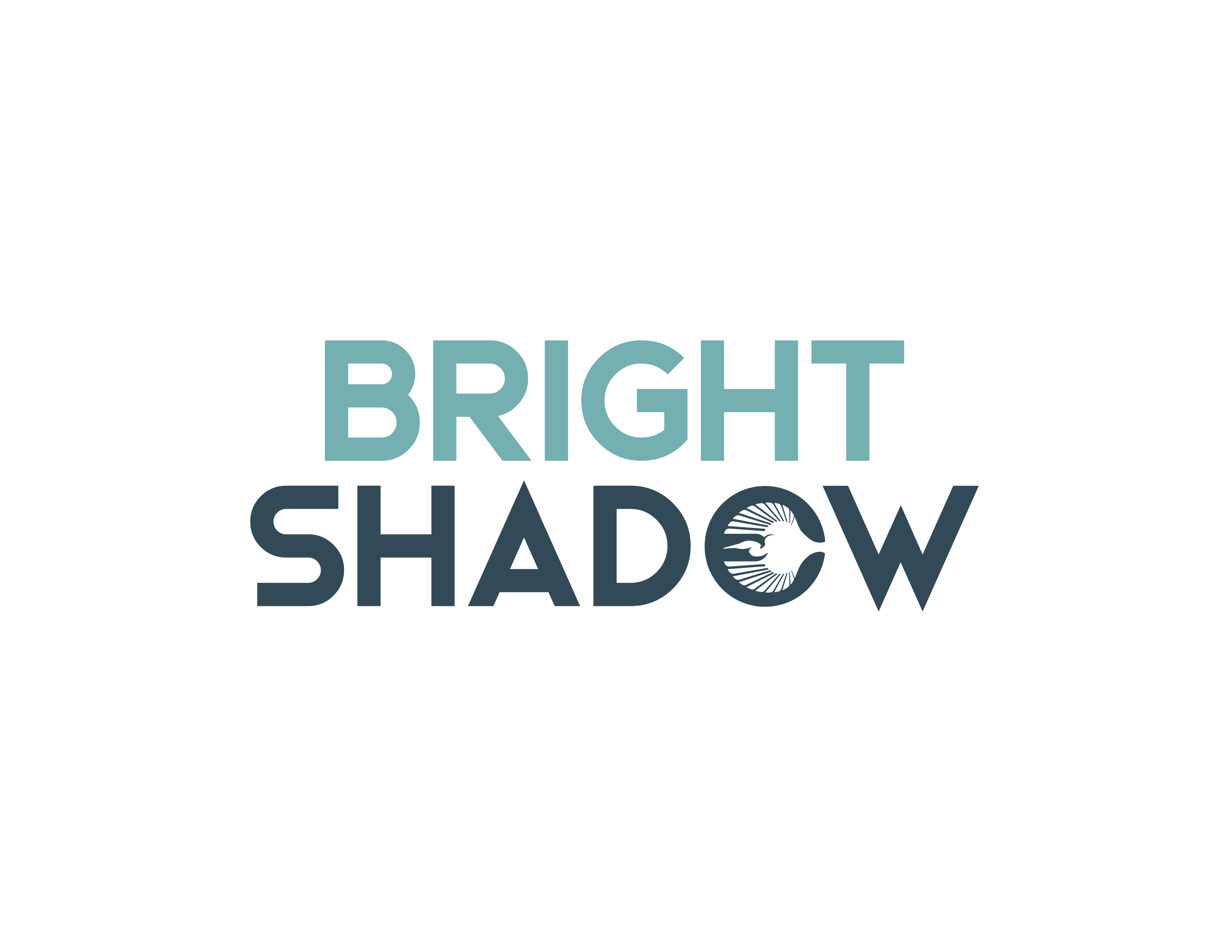 Bright Shadow