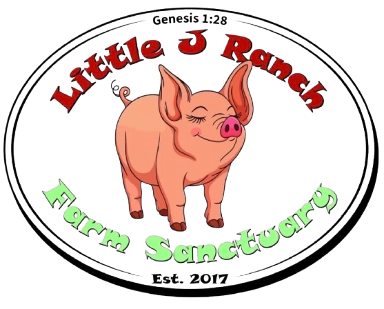 Little J Ranch Farm Sanctuary