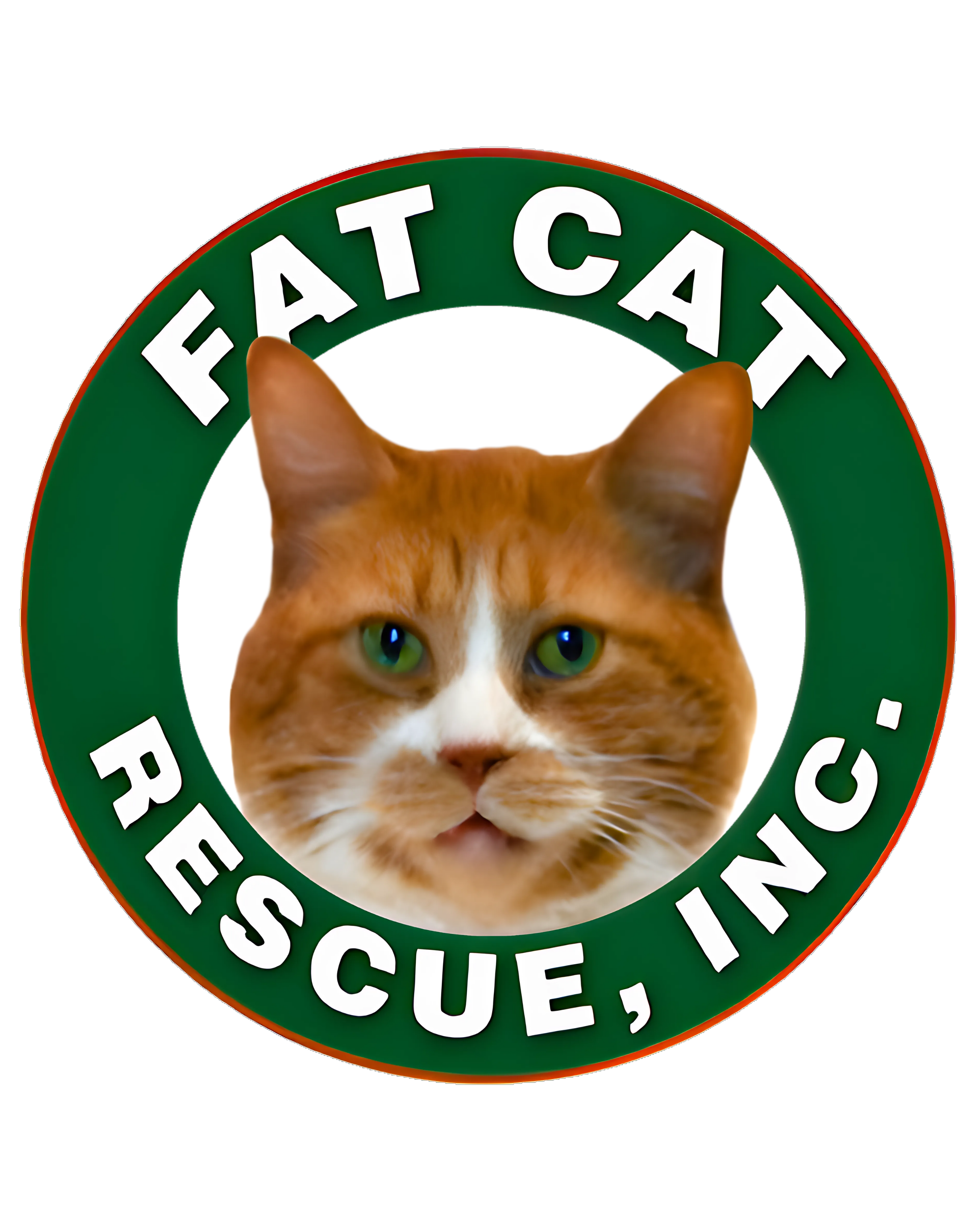 FAT CAT RESCUE INC
