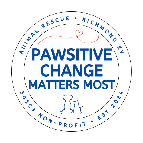Pawsitive Change Matters Most