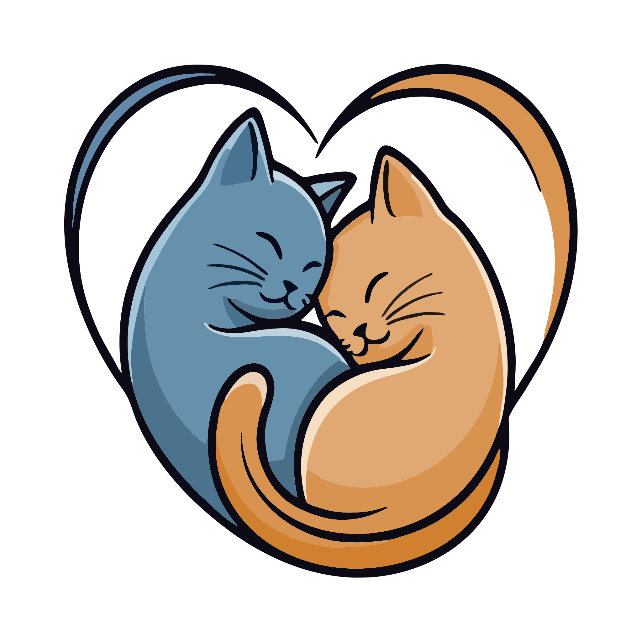 Mission Meow Cat Rescue And Adoptions INC