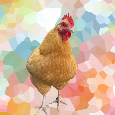 CHICKENS logo