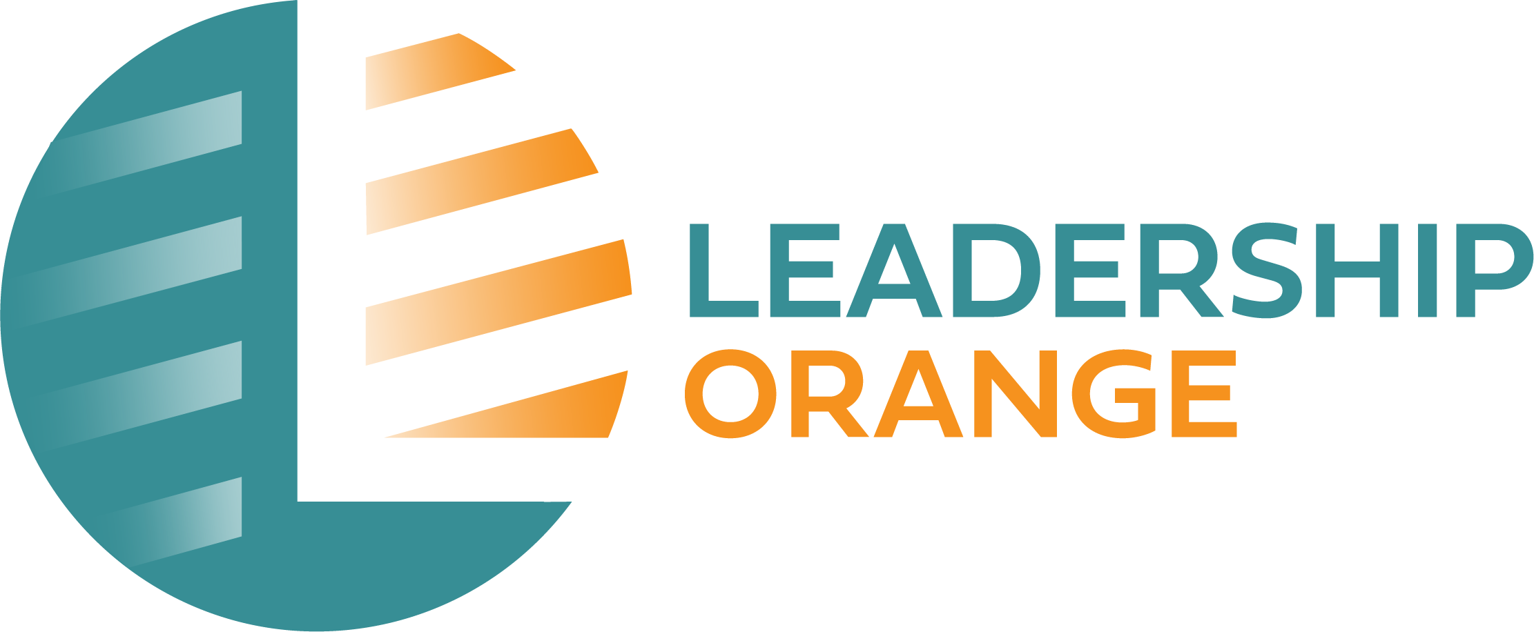Leadership Orange Inc
