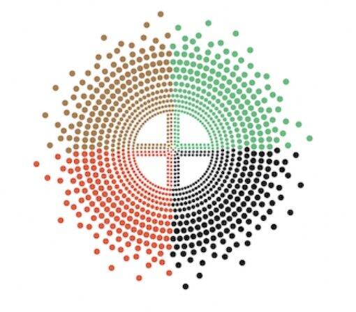 Diaspora Network Incorporated