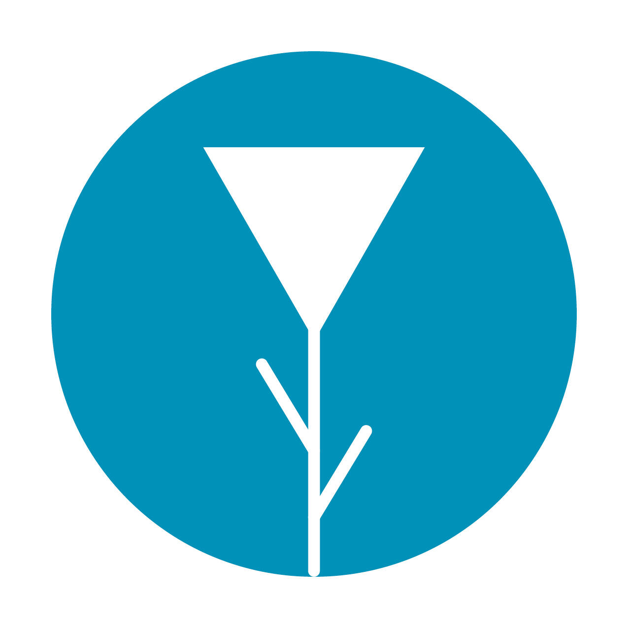 Blue Roses Project Inc