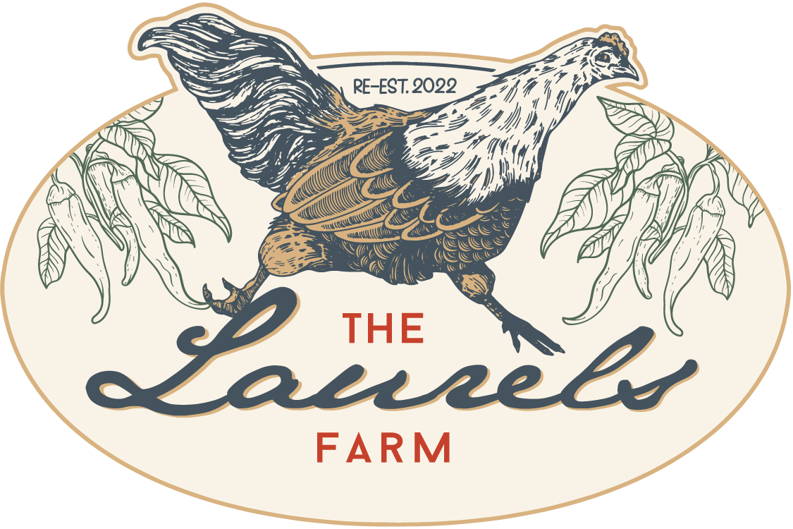 Sustainable Agriculture & Gardening Education at the Laurels
