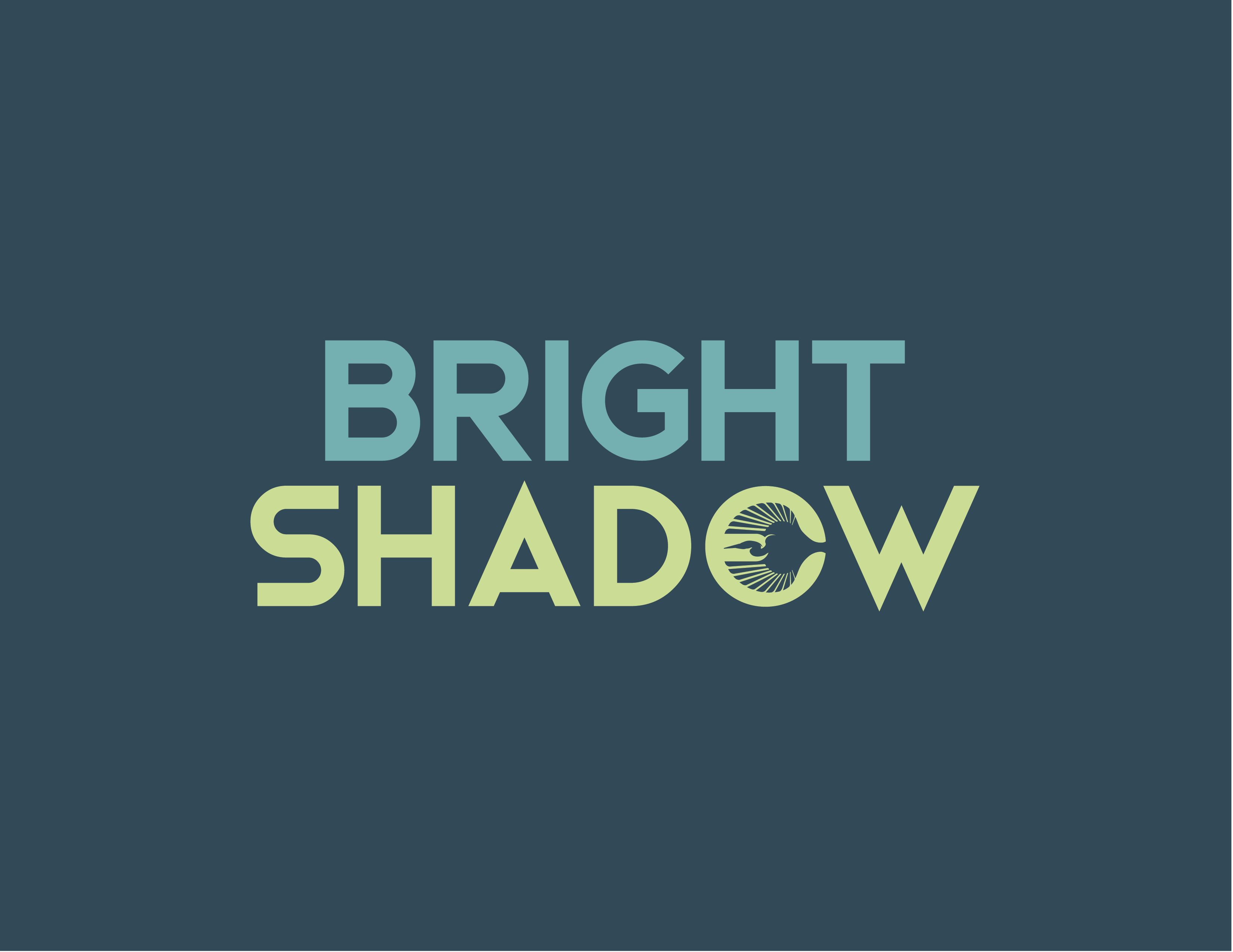 Bright Shadow