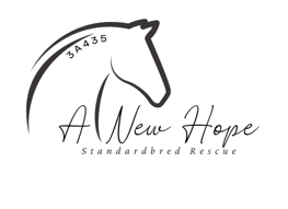 A New Hope Standardbred Rescue