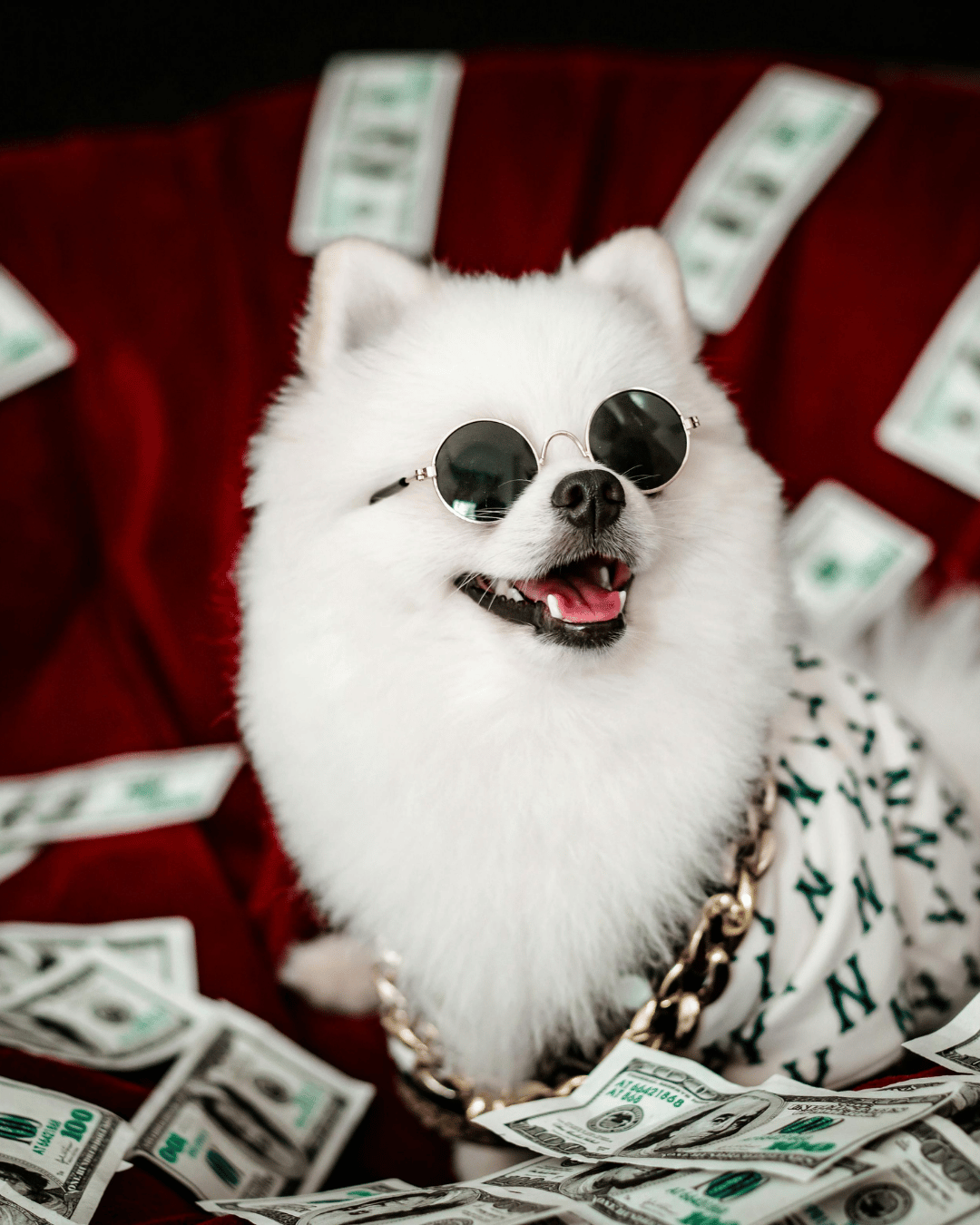 Wags to Riches logo