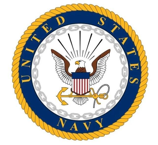 Team Navy logo