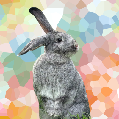 BUNNIES logo