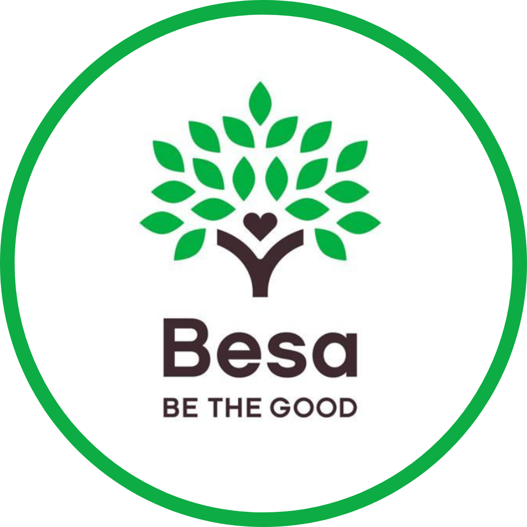 Besa logo