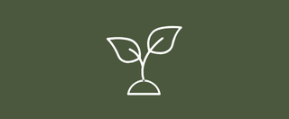 Tarhonda Jones S.E.E.D. Foundation