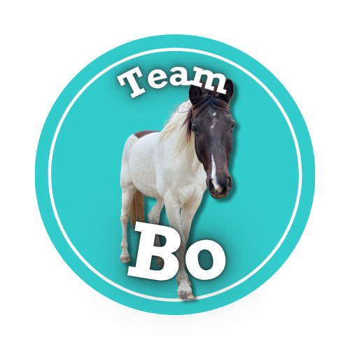 Team Bo logo