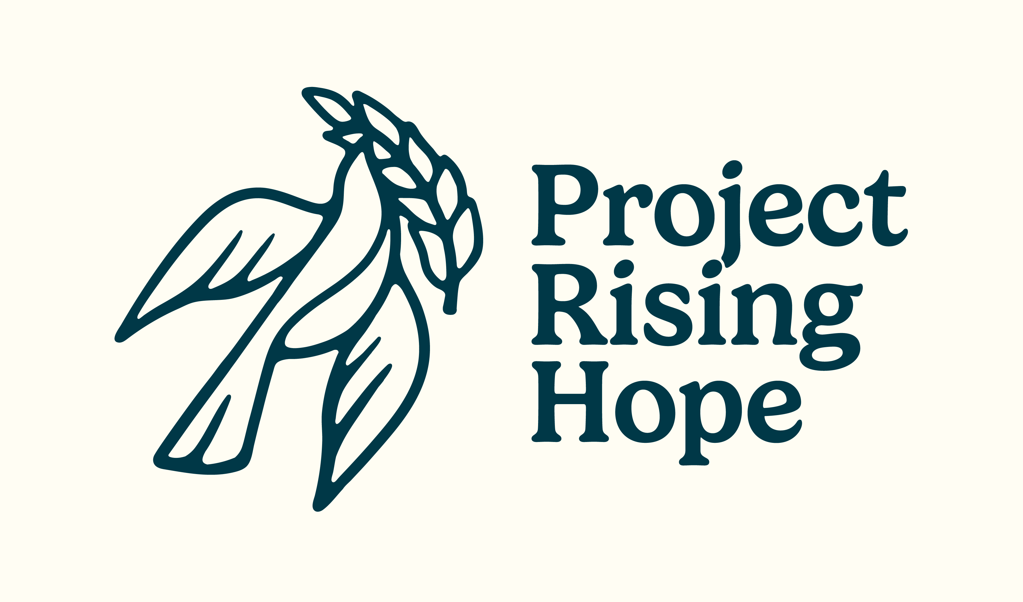 Project Rising Hope