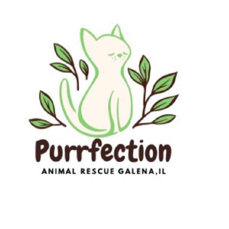 Purrfection Animal Rescue, Galena NFP