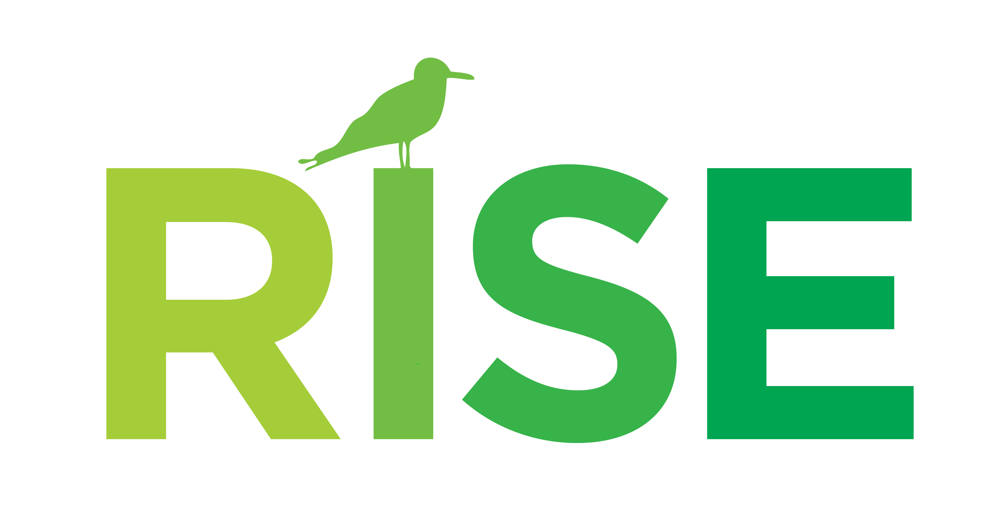 RISE (Rockaway Initiative for Sustainability and Equity)