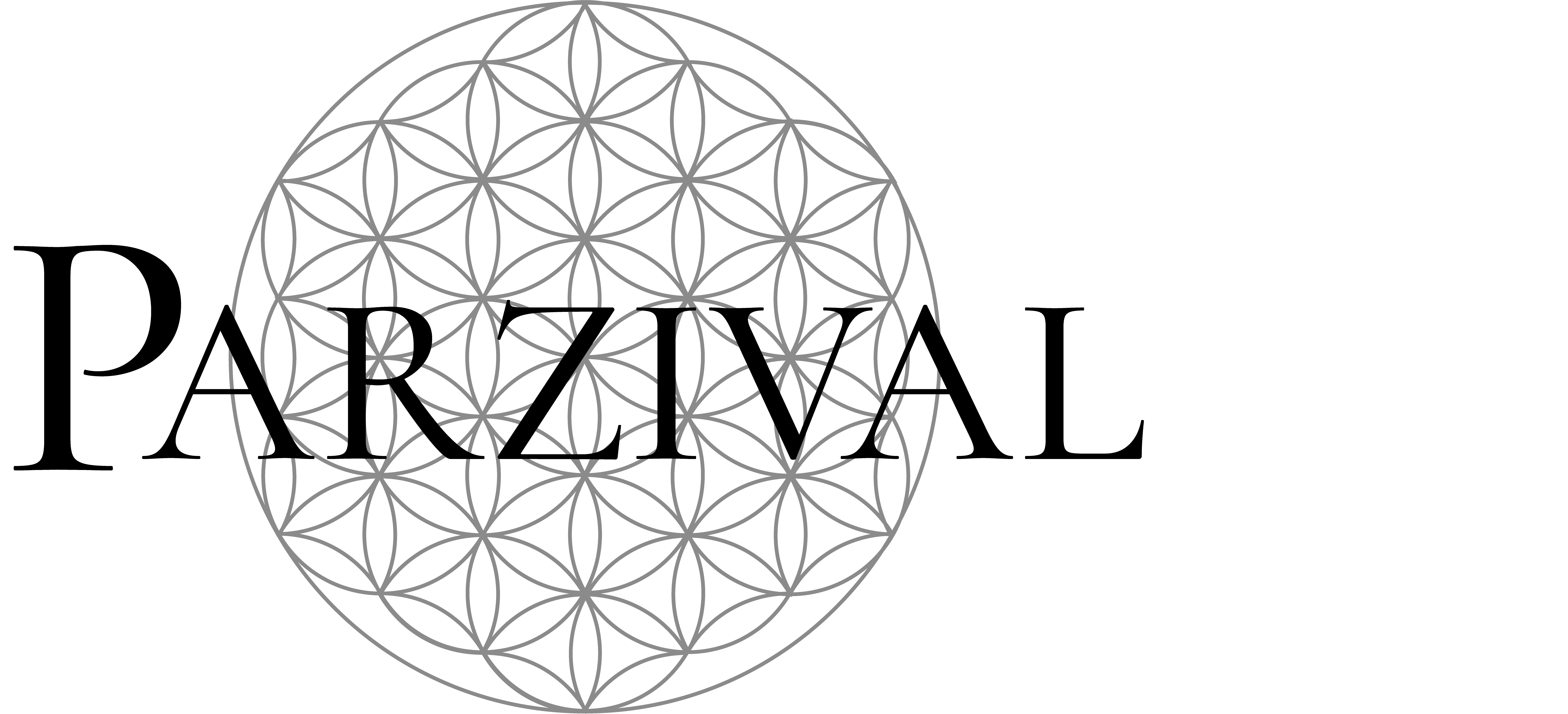 Parzival Supports