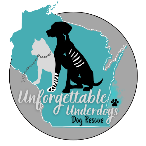 Unforgettable Underdogs Dog Rescue
