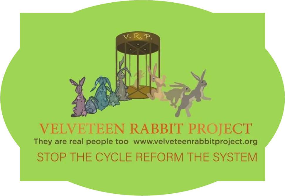 Velveteen Rabbit Project