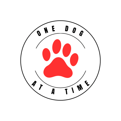 One Dog at a Time inc