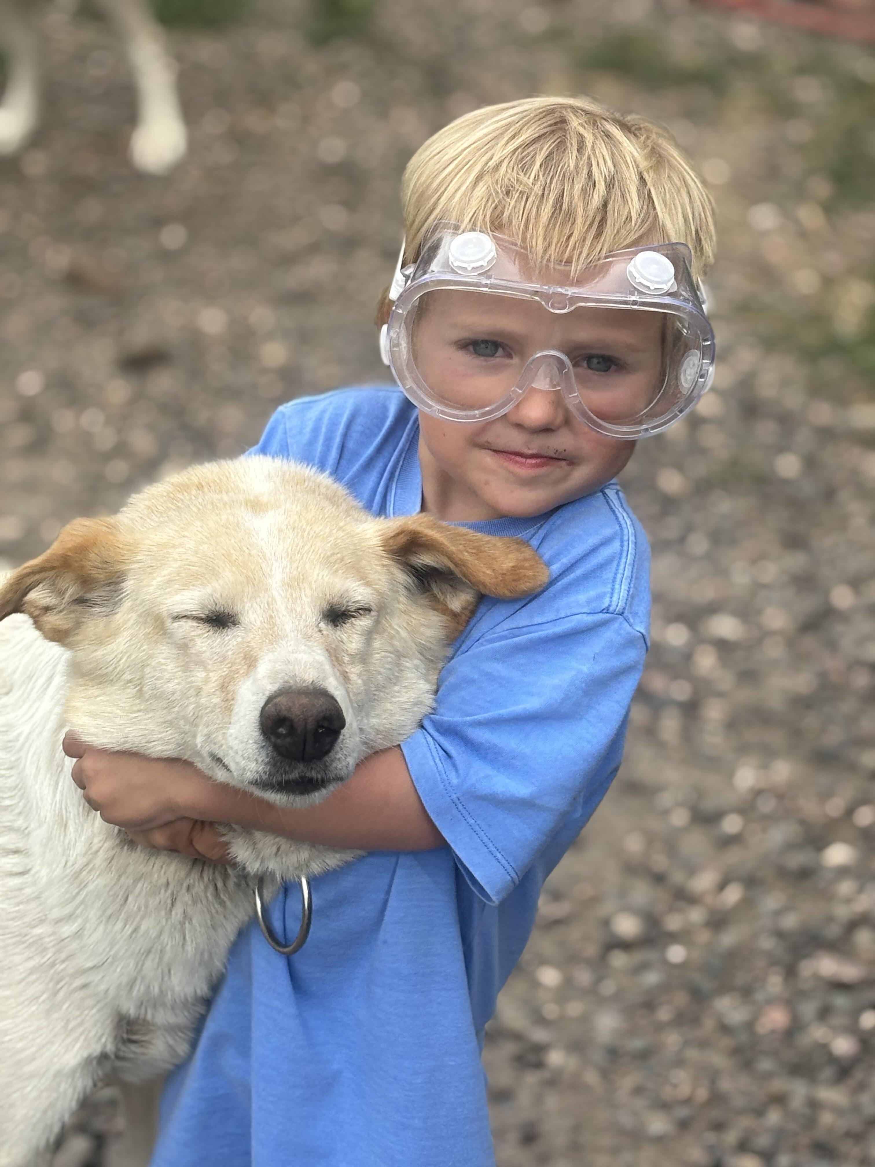 Snow Buddy Sled Dog Refuge