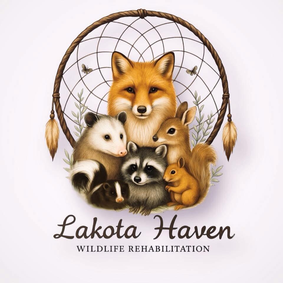 Lakota Haven Wildlife Rehabilitatio N