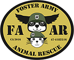 Foster Army Animal Rescue