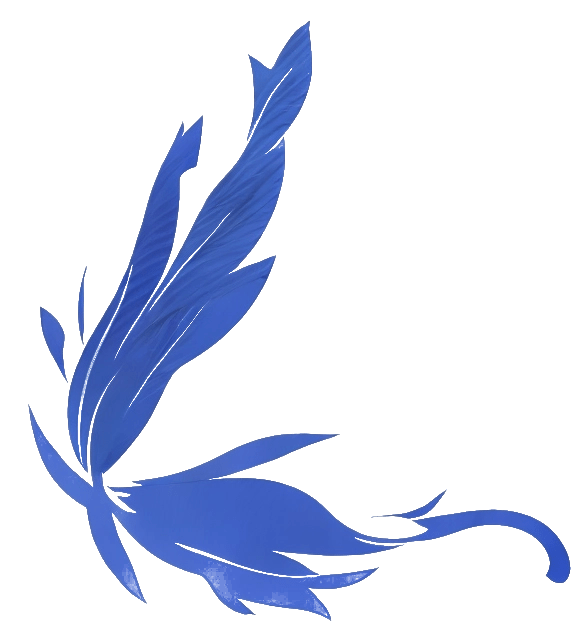Anikaya Akhra Inc