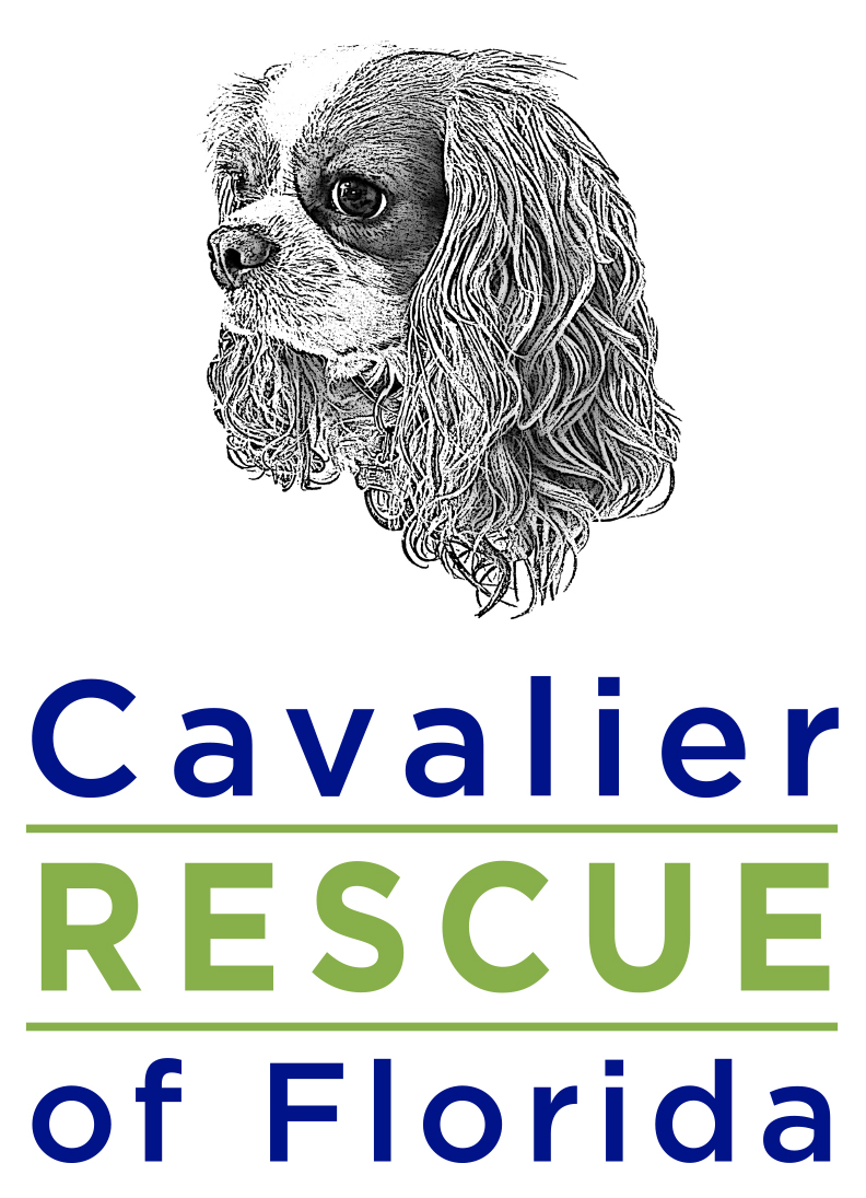 CAVALIER RESCUE OF FLORIDA INC