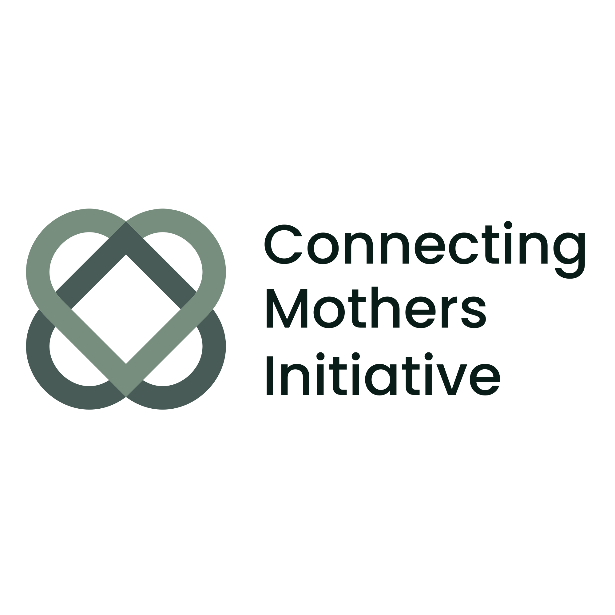 Connecting Mothers Initiative, Inc