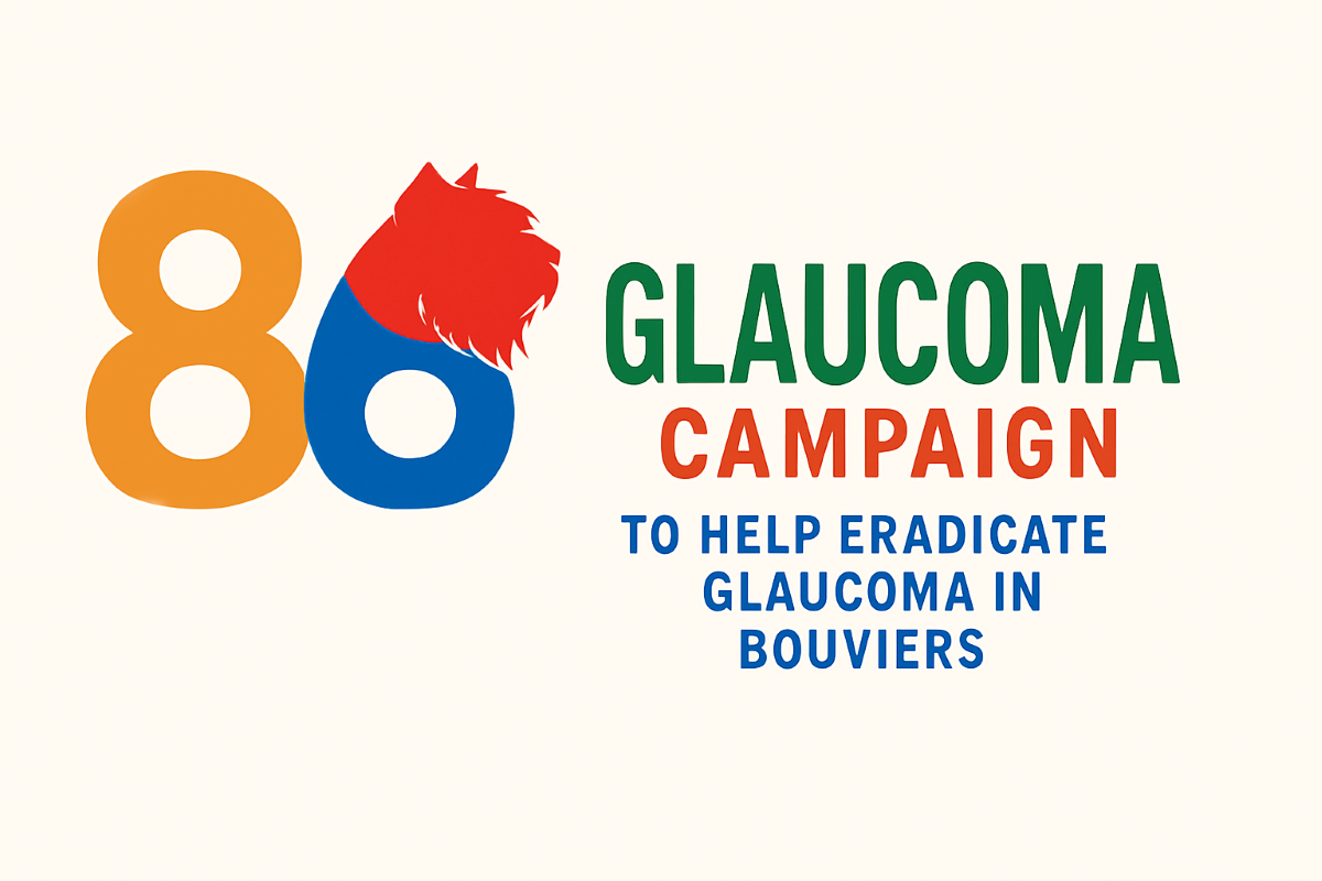 American Bouvier Des Flandres Club Inc