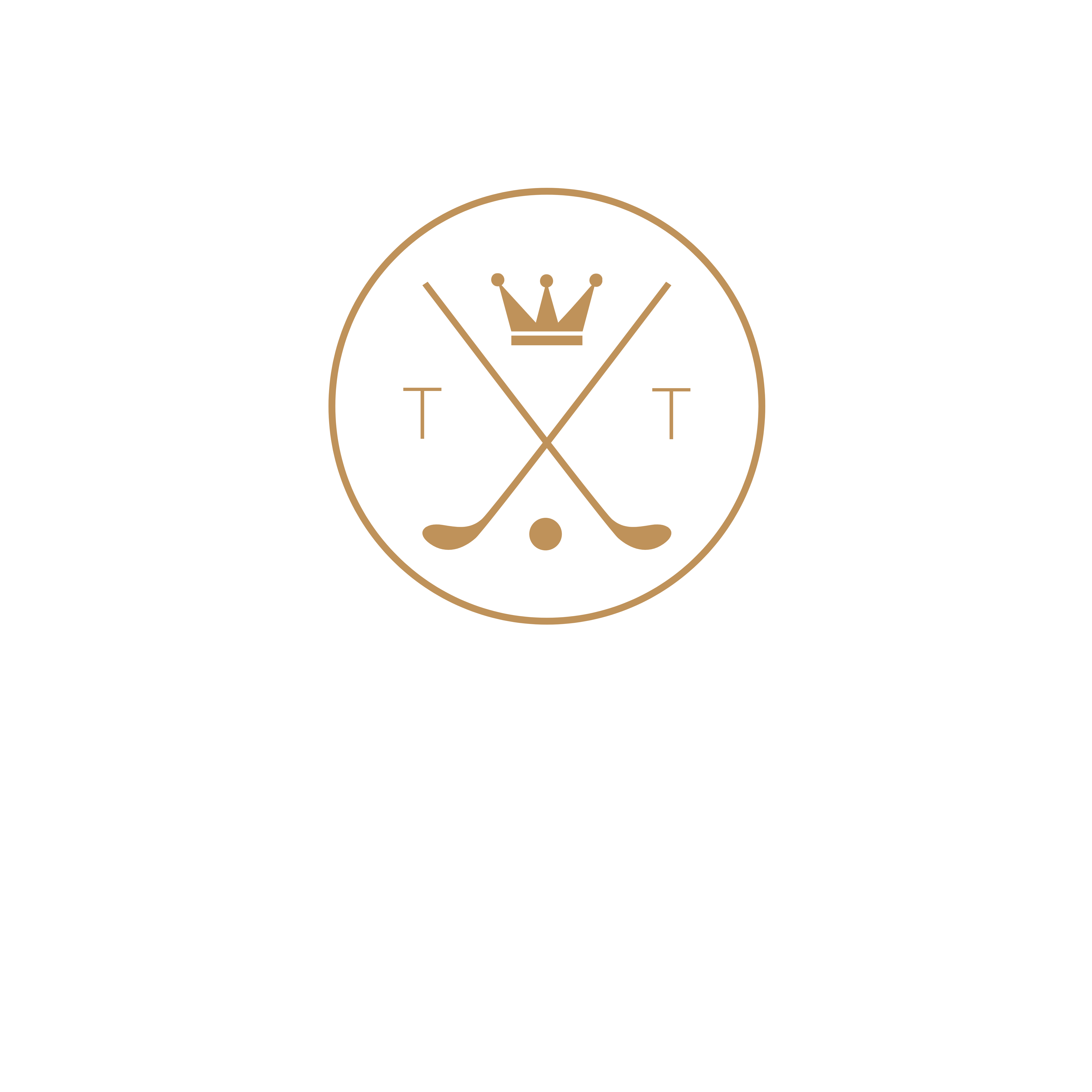 Tammi Terry Memorial Scholarship Inc