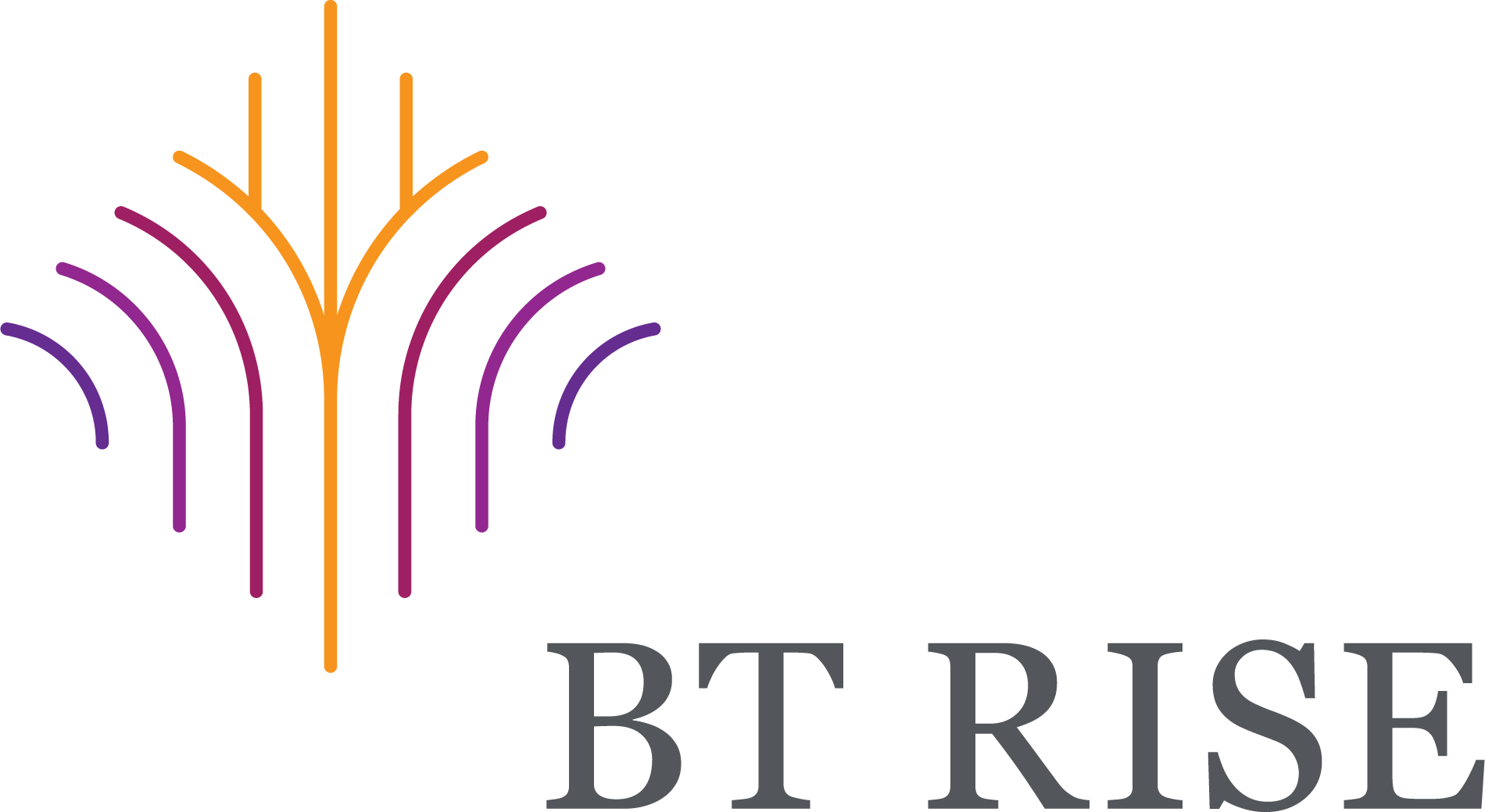BT R.I.S.E., Inc.