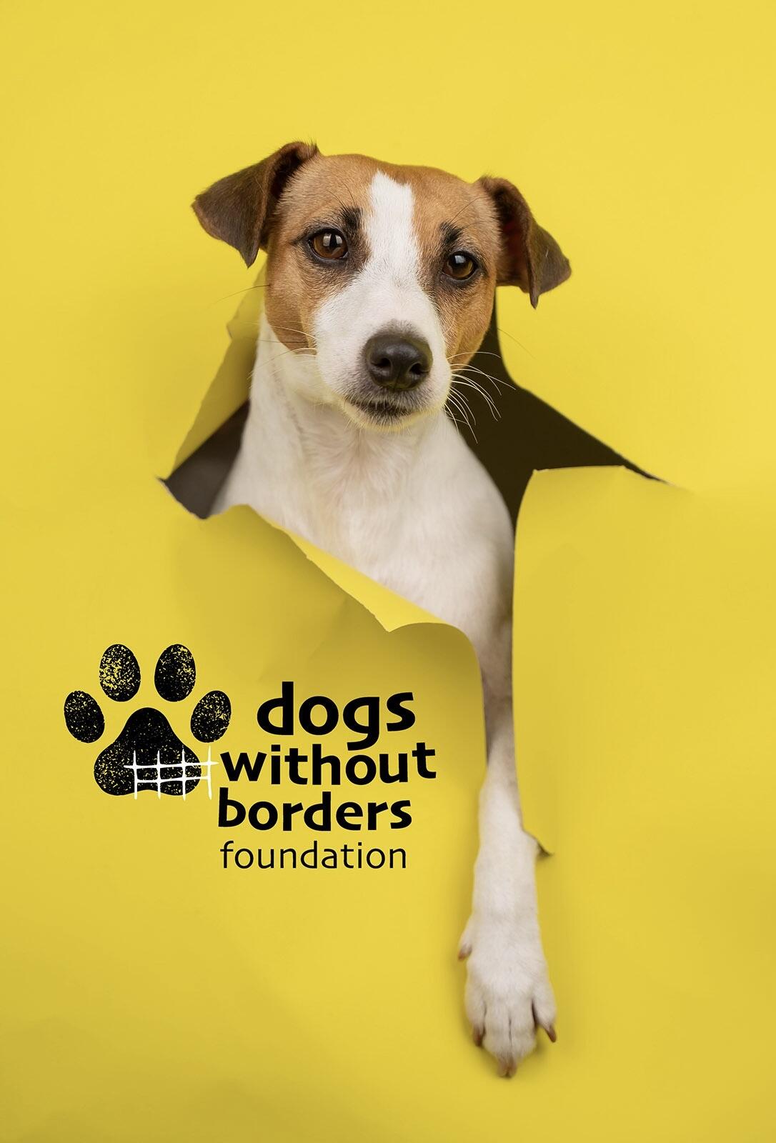 Dogs Without Borders Foundation