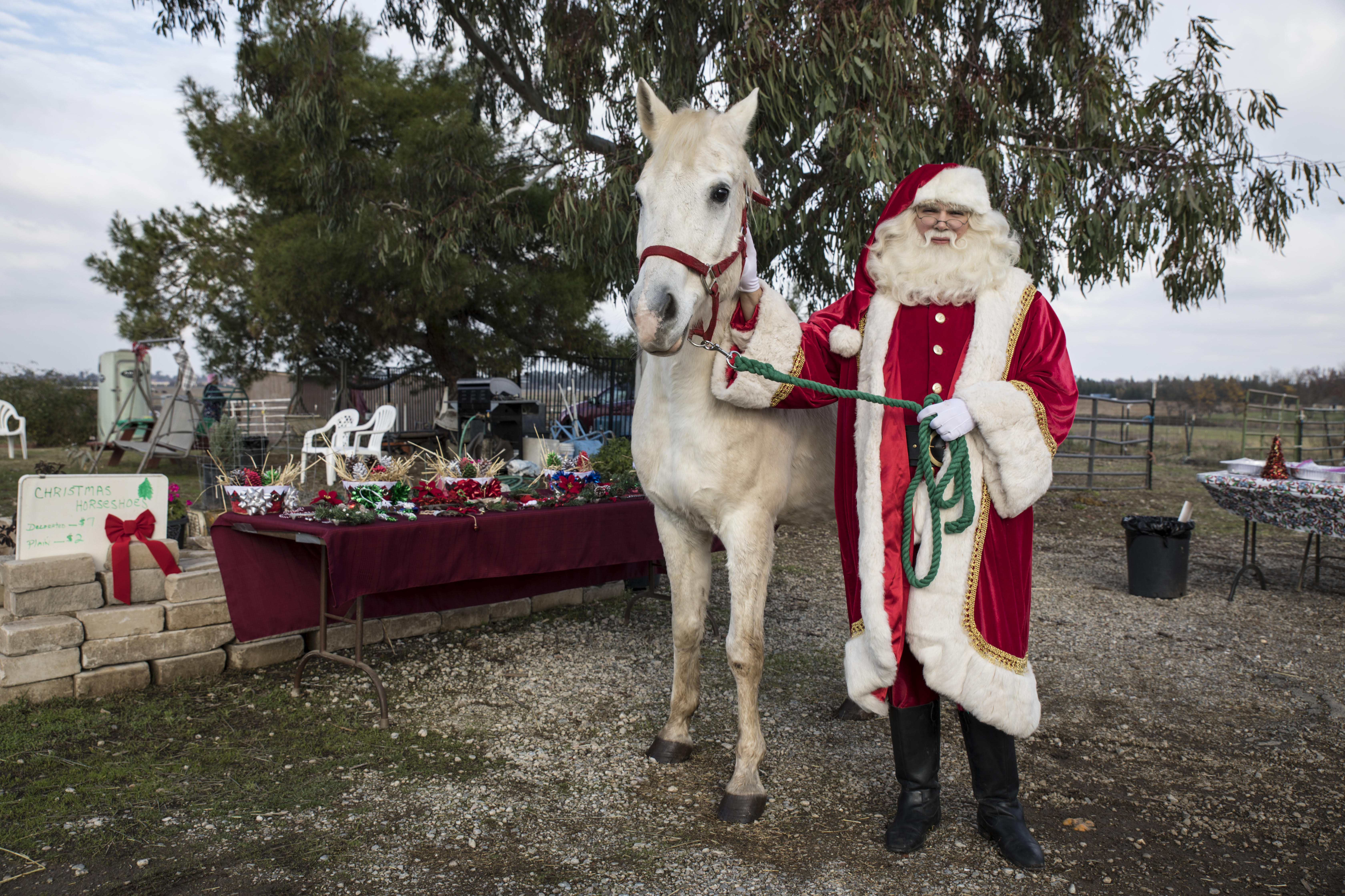 Save Them All Horse Rescue