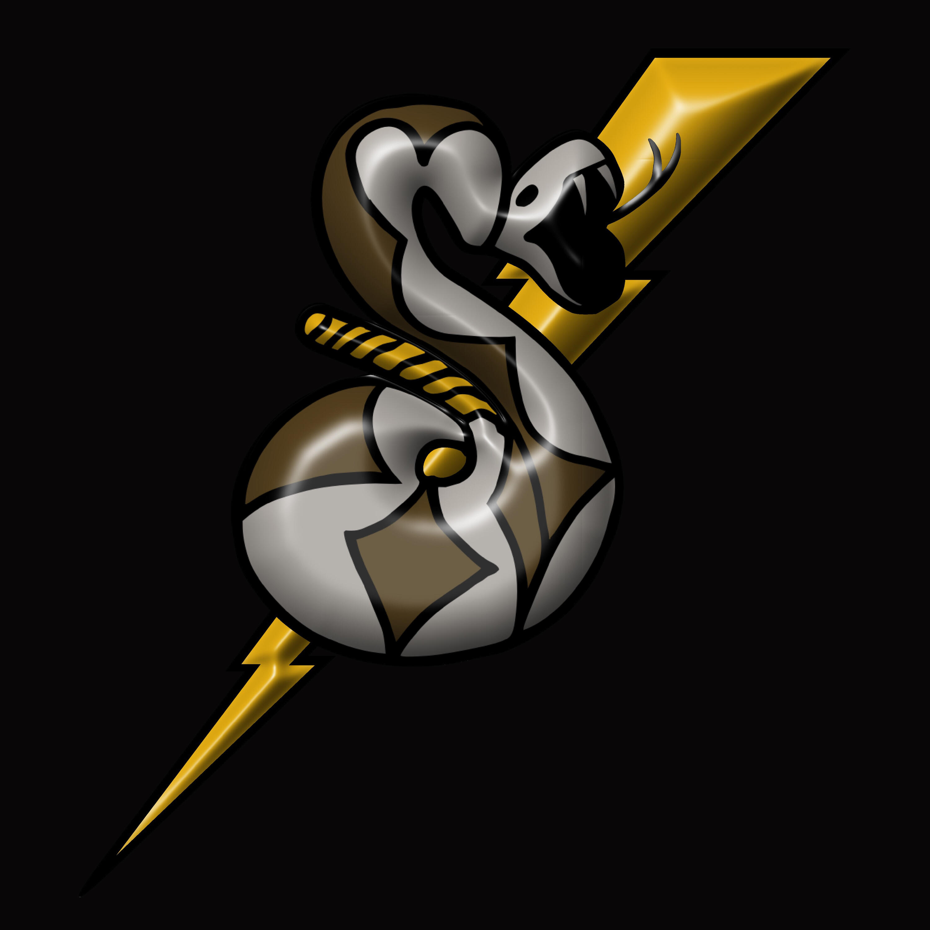 Medford Police Swat Association