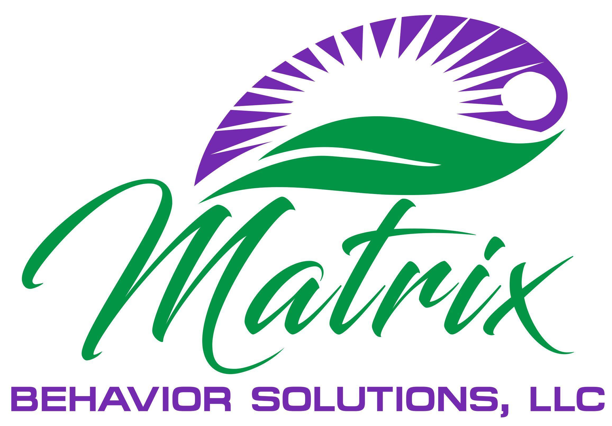 Matrix Behavior Solutions Sponsored Team logo