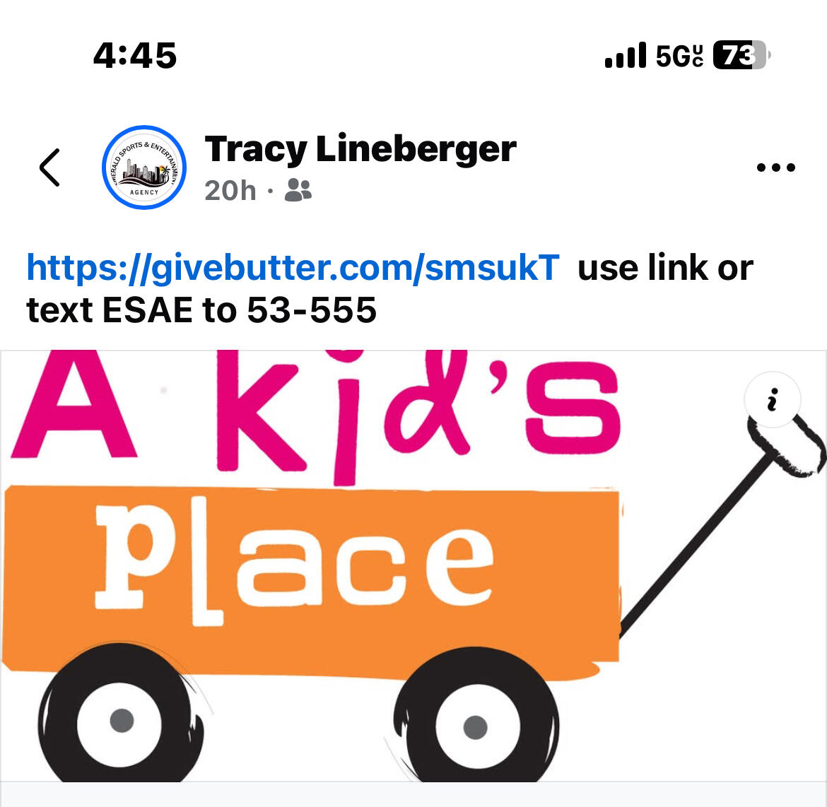 Emerald Sports and Entertainment