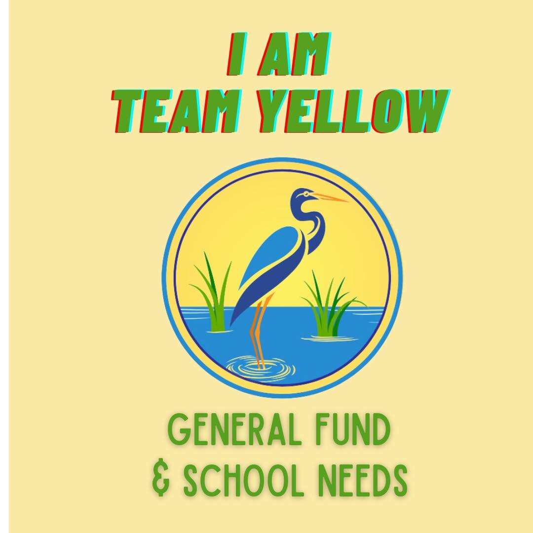 Team General Fund logo