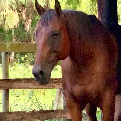 Emily Domagtoy avatar